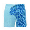Men's Color Changing Casual Quick Drying Beach Shorts