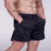 Men's Summer Casual Fashion Mesh Beach Shorts