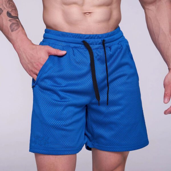 Men's Summer Casual Fashion Mesh Beach Shorts