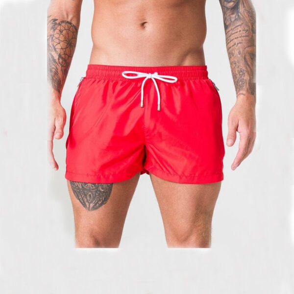 9744630769.jpg Men's Lightweight Breathable Casual Swim Shorts