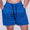 Men's Summer Casual Fashion Mesh Beach Shorts